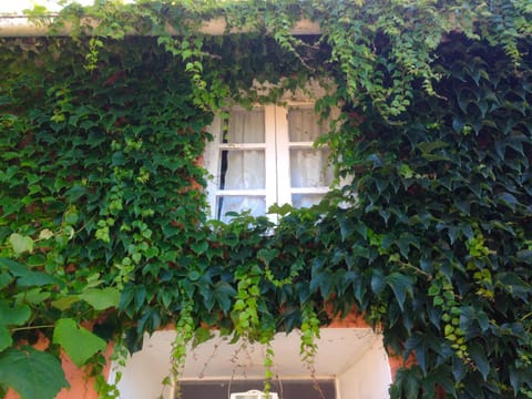 Property building, Spring, Garden