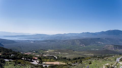 Natural landscape