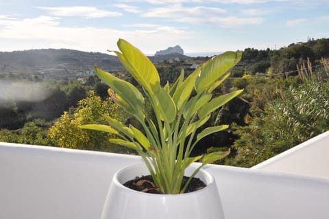 Abeniss Boutique B&B Bed and Breakfast in Marina Alta