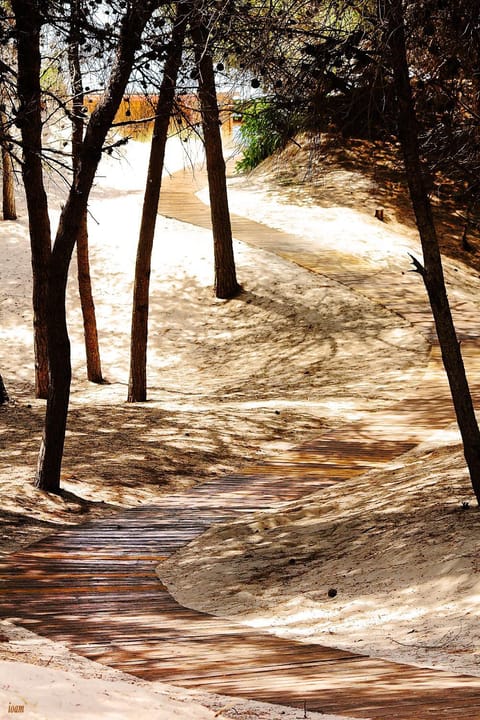 Natural landscape