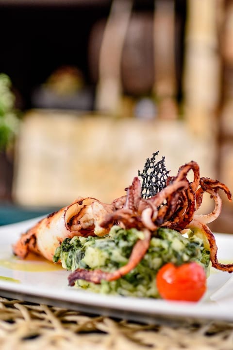 Food close-up, Food, Dinner