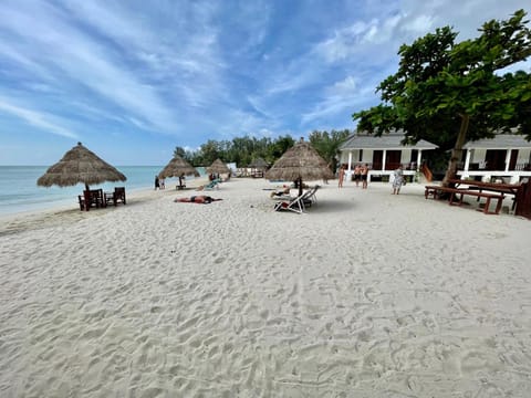 Beach, sunbed