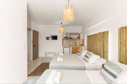 Athina Rooms - Lounge Apartments Bed and Breakfast in Paros