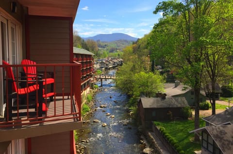 Mountain view, River view