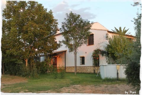 Property building, Day, Garden, Garden view