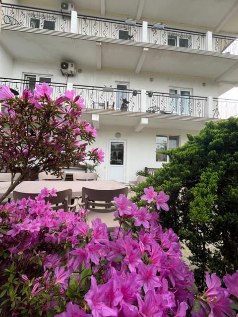Property building, Spring