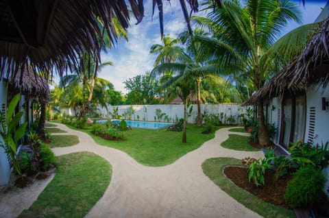 Garden, Swimming pool, Swimming pool