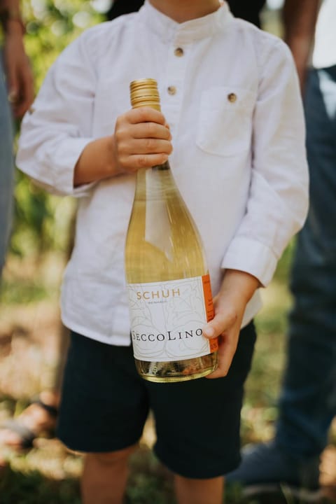 Haus Ambiente Apartment in Cochem-Zell