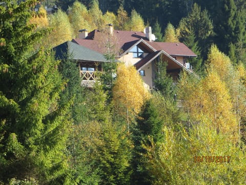 Natural landscape, Autumn