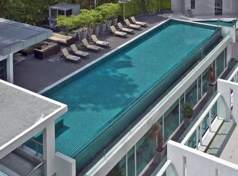 Day, Pool view, Swimming pool, Swimming pool