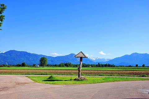 Natural landscape