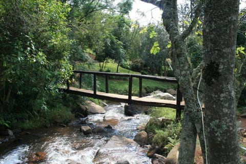Garden, Garden view, River view