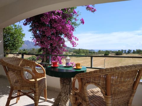 Patio, Natural landscape, Summer, Balcony/Terrace, Sea view