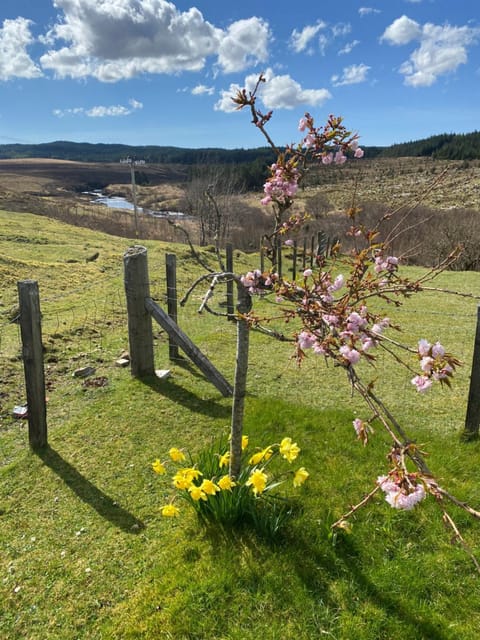 House on the Falls Bed and Breakfast in Scotland