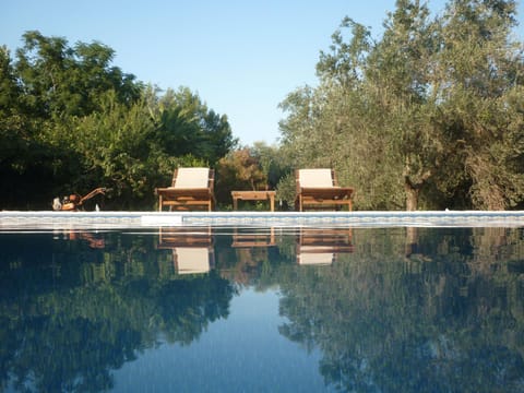 Day, Swimming pool, Swimming pool