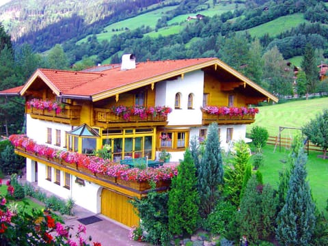 Property building, Natural landscape, Summer