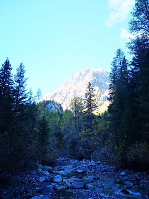 Chalet Le Trient Chalet in Haute-Savoie