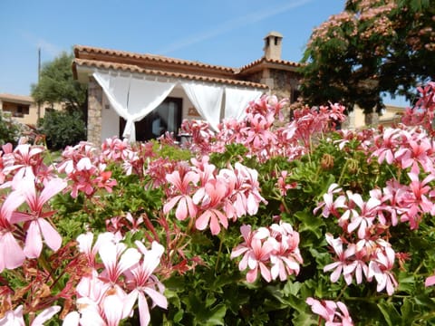 Facade/entrance, Garden