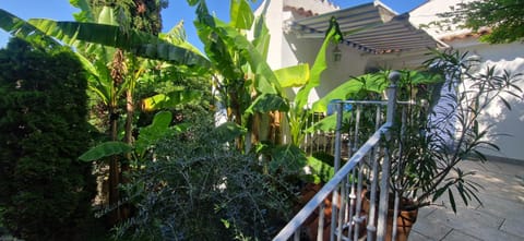 Secret garden of Piran Apartment in Piran