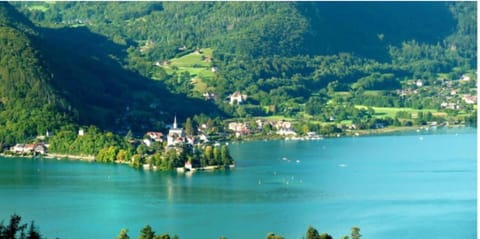 Le Lotus - avec place de parking Apartment in Annecy