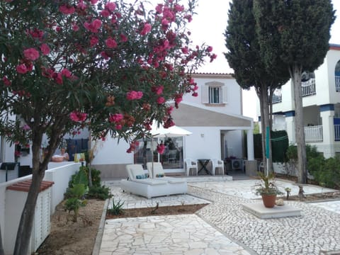 Property building, Patio, Garden view