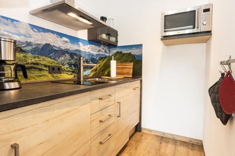 Kitchen or kitchenette, minibar, pet friendly, stove