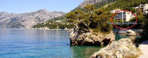 Punta Rata room Bed and Breakfast in Brela