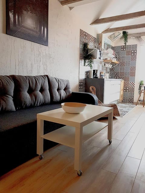 Dp Art 14 OLD TOWN Self check in Apartment in Lithuania