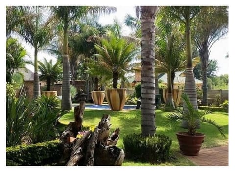 Garden, Swimming pool