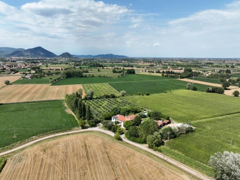 Bird's eye view, Summer, City view, Mountain view, Quiet street view