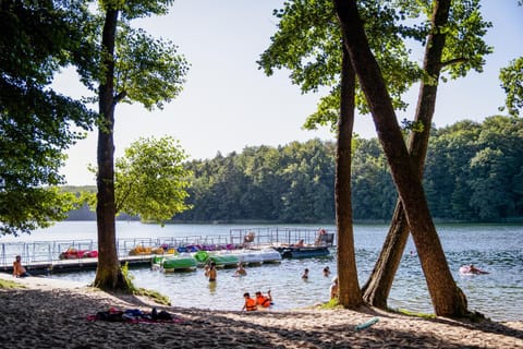 Natural landscape, Activities, Beach, Lake view
