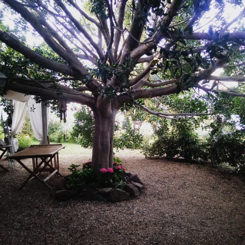 Patio, Photo of the whole room