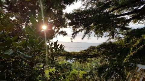 Natural landscape, Sea view, Sunrise, Sunset