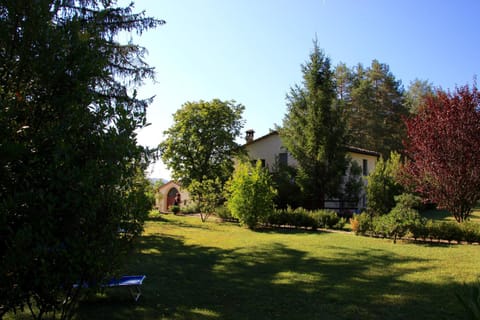 Garden, Swimming pool