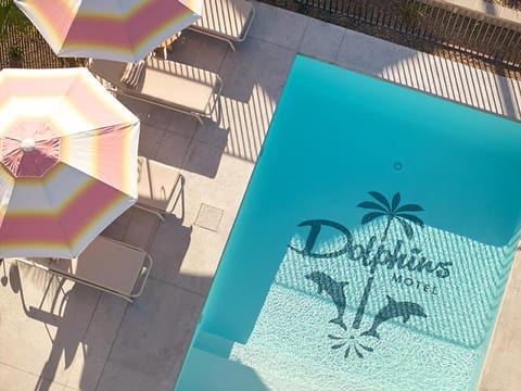 Day, Swimming pool, Swimming pool, sunbed
