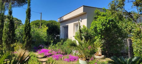 Property building, Spring, Day, Garden, Garden, Garden view, Seasons