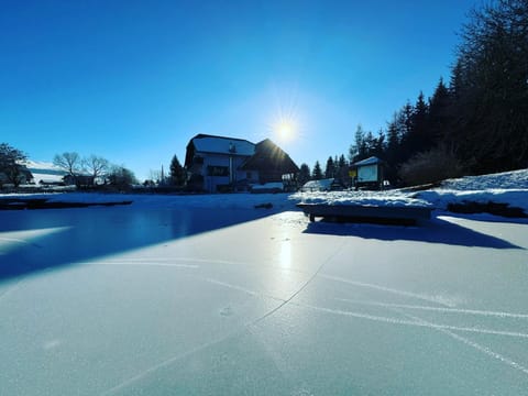 Day, Natural landscape, Winter