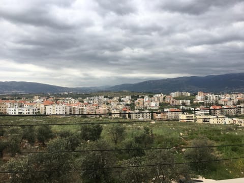Property view