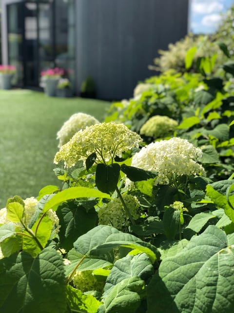 Mar y Luz House in Koksijde