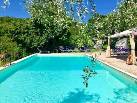 Swimming pool, Swimming pool