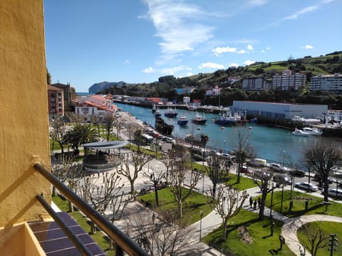 Property view