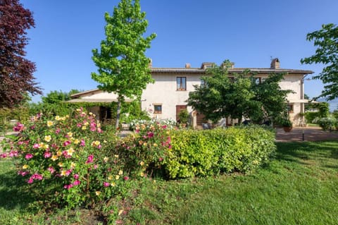 Natural landscape, Garden, Garden view