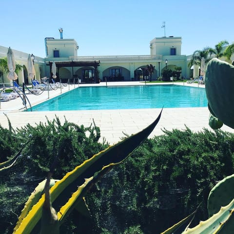 Day, Pool view, Swimming pool