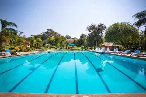Day, Natural landscape, Pool view, Swimming pool, Swimming pool, Swimming pool, sunbed