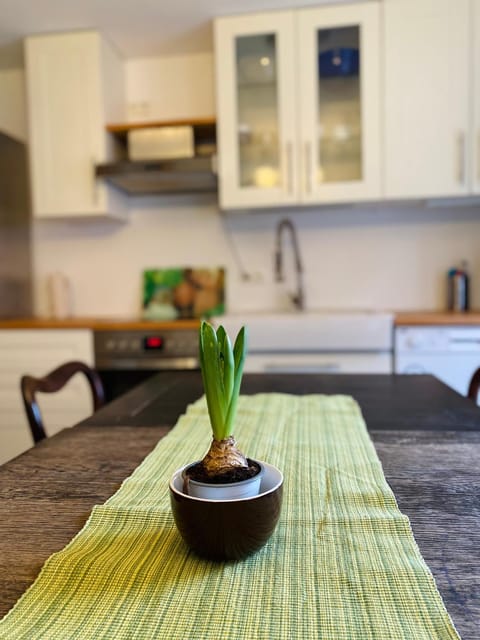 Kitchen or kitchenette, Decorative detail, Food, kitchen