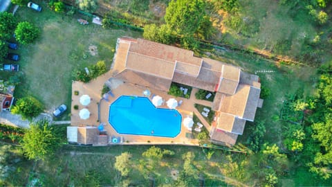 Patio, Bird's eye view, Garden
