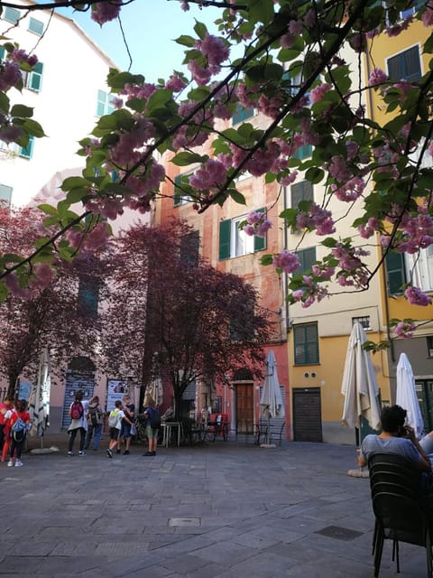 Neighbourhood