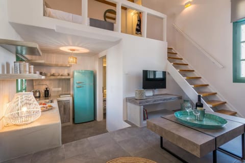 Kitchen or kitchenette, Living room, Photo of the whole room, Decorative detail