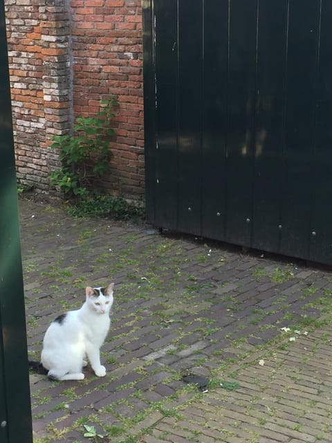 Genesis Voorschoten Bed and Breakfast in Leiden