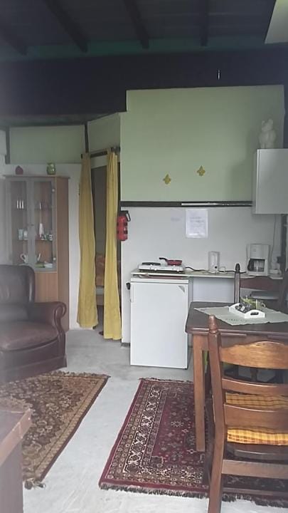 Kitchen or kitchenette, Living room, Photo of the whole room, Dining area